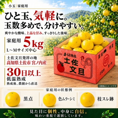 【日本ギフト大賞受賞・先行予約】園主こだわり土佐文旦 小玉5kg 家庭用 高知県土佐市産 やの一果彩