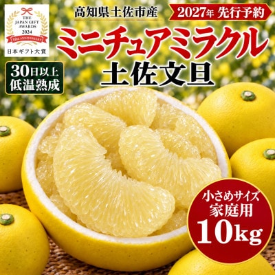 日本ギフト大賞受賞・先行予約 希少 ミニチュアミラクル土佐文旦10kg 高知県土佐市産 やの一果彩