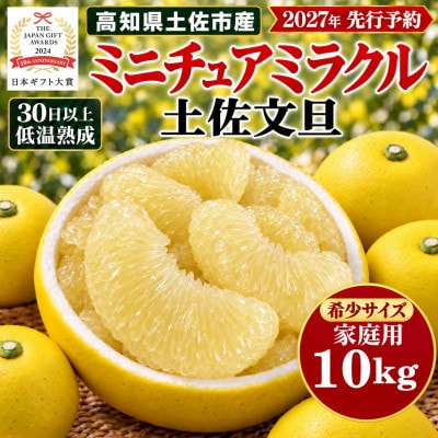 日本ギフト大賞受賞・先行予約 希少 ミニチュアミラクル土佐文旦10kg 高知県土佐市産 やの一果彩