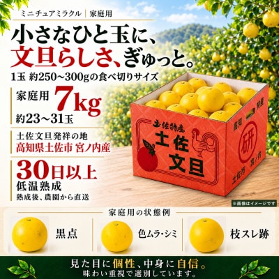 日本ギフト大賞受賞・先行予約 希少 ミニチュアミラクル土佐文旦 7kg 高知県土佐市産 やの一果彩