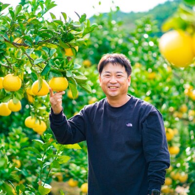【日本ギフト大賞2024受賞】園主こだわりミニチュア土佐文旦5kg