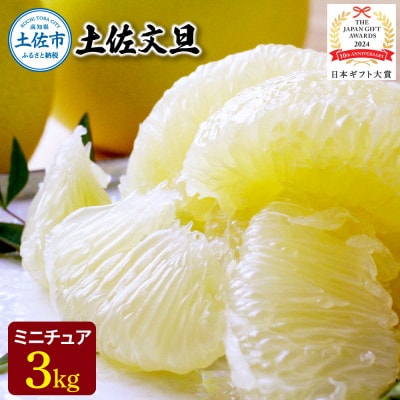 【日本ギフト大賞2024受賞】園主こだわりミニチュア土佐文旦3kg