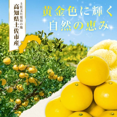 【日本ギフト大賞受賞】文旦発祥の地 園主こだわり希少ミニチュアミラクル土佐文旦3kg やの一果彩