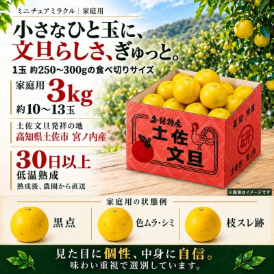 日本ギフト大賞受賞・先行予約 希少 ミニチュアミラクル土佐文旦 3kg 高知県土佐市産 やの一果彩