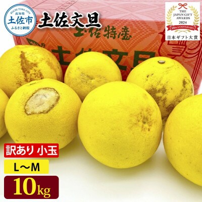 園主こだわり土佐文旦　訳あり小玉10kg