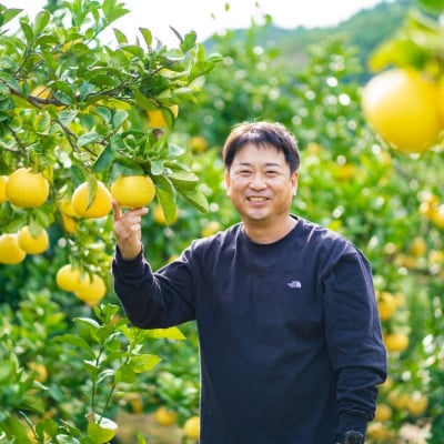園主こだわり土佐文旦　訳あり小玉10kg