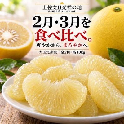 【発送月固定定期便】【2月・3月にお届け!】日本ギフト大賞受賞 文旦発祥の地 土佐文旦10kg全2回