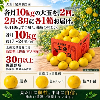 【発送月固定定期便】【2月・3月にお届け!】日本ギフト大賞受賞 文旦発祥の地 土佐文旦10kg全2回