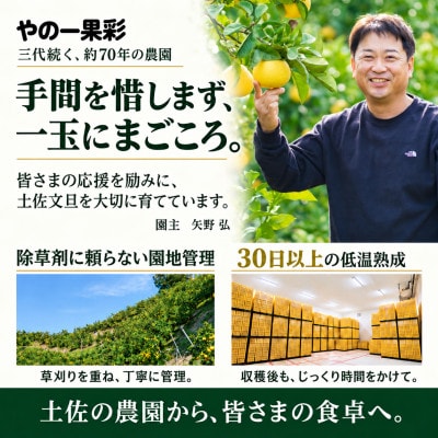 【発送月固定定期便】【2月・3月にお届け!】日本ギフト大賞受賞 文旦発祥の地 土佐文旦10kg全2回