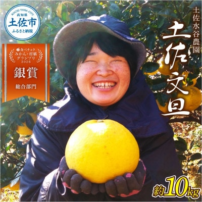 化学合成農薬栽培期間中不使用　土佐水谷農園の土佐文旦　10kg(15個前後)　A品※農園独自基準