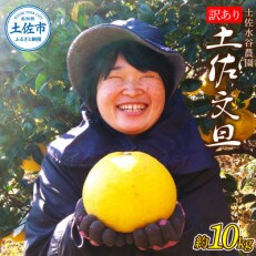 本場、高知県土佐市産!土佐水谷農園の露地土佐文旦<訳あり>10kg