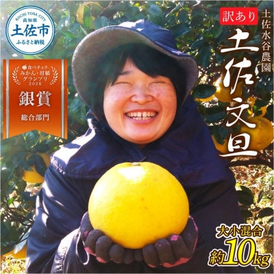 化学合成農薬栽培期間中不使用　土佐水谷農園の土佐文旦　10kg(16個前後)　家庭用訳あり品