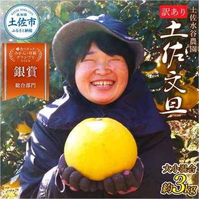 化学合成農薬栽培期間中不使用　土佐水谷農園の土佐文旦　3kg(5個前後)　家庭用訳あり品