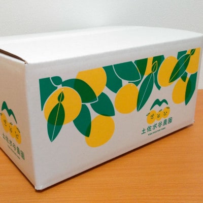化学合成農薬栽培期間中不使用　土佐水谷農園の土佐文旦　3kg(5個前後)　家庭用訳あり品