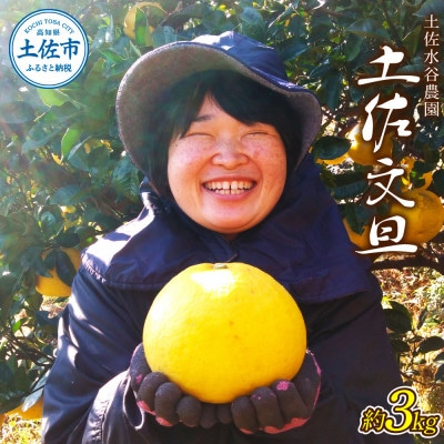 化学合成農薬栽培期間中不使用　土佐水谷農園の土佐文旦　3kg(5個前後)　A品※農園独自基準