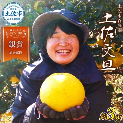 化学合成農薬栽培期間中不使用　土佐水谷農園の土佐文旦　3kg(5個前後)　A品※農園独自基準
