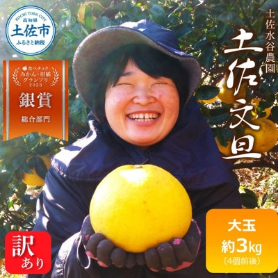 化学合成農薬栽培期間中不使用　土佐水谷農園の土佐文旦　大玉3kg(4個前後)　家庭用訳あり品