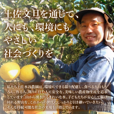 化学合成農薬栽培期間中不使用　土佐水谷農園の土佐文旦　中玉～大玉3kg(4個前後)　家庭用訳あり品