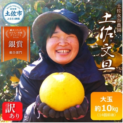 化学合成農薬栽培期間中不使用　土佐水谷農園の土佐文旦　大玉10kg(14個前後)家庭用訳あり品