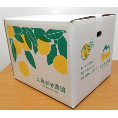 化学合成農薬栽培期間中不使用　土佐水谷農園の土佐文旦　中玉～大玉10kg(14個前後)家庭用訳あり品