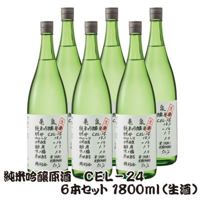 純米吟醸 生原酒 CEL-24(セル24)1800ml(生酒) 6本セット 亀泉酒造の甘口