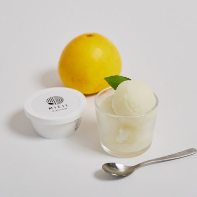 土佐文旦アイス(6個セット)