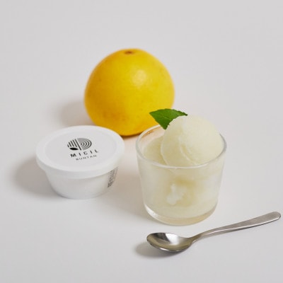 土佐文旦アイス(12個セット)