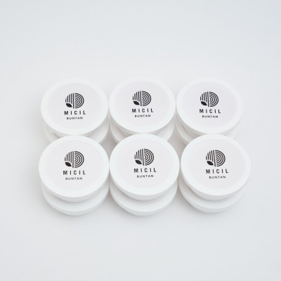 土佐文旦アイス(12個セット)