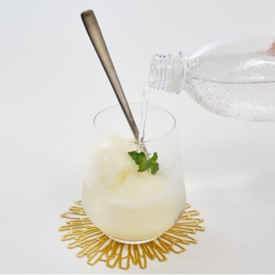 土佐文旦アイス(12個セット)