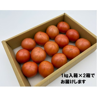 高知県産 濃い旨フルーツトマト 2kg 糖度8～10度