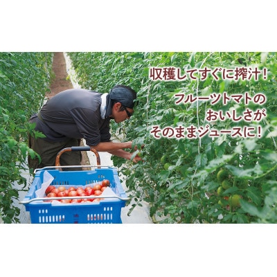 毎日フルトマ　レッド 100ml 12本箱入