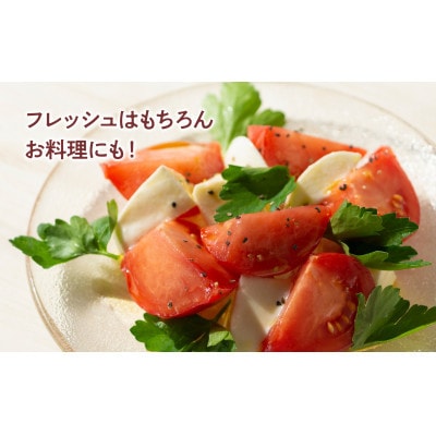 【2026年1月上旬～発送】旬の濃旨フルーツトマト約1kg 糖度8～10度 (大小混合)