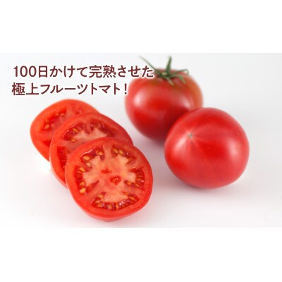 【2026年1月上旬～発送】フルーツトマト約3kg 糖度8～10度 (大小混合)