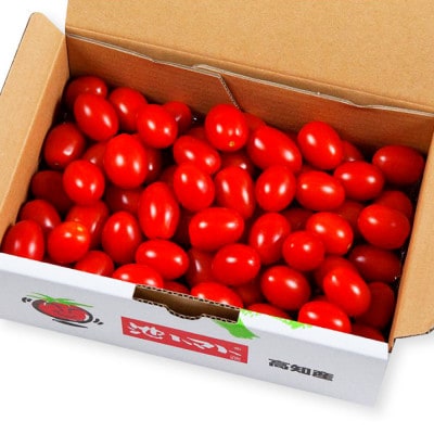 【2026年1月上旬～発送】あまいこトマト 約1kg　糖度7～8度