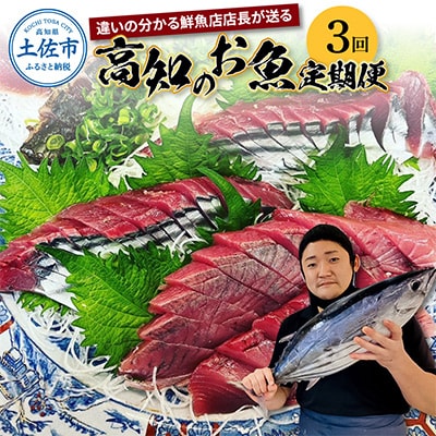 【毎月定期便】違いの分かる鮮魚店店長おすすめ　高知のお魚定期便!! 全3回