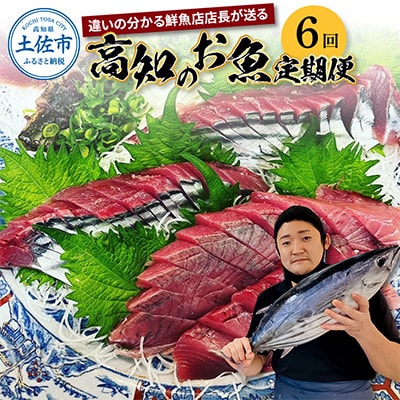 【毎月定期便】違いの分かる鮮魚店店長おすすめ　高知のお魚定期便!! 全6回