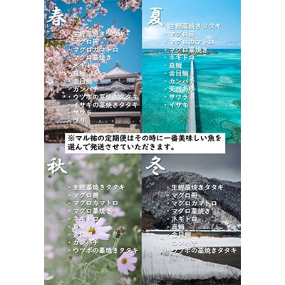 【毎月定期便】違いの分かる鮮魚店店長おすすめ　高知のお魚定期便!! 全6回