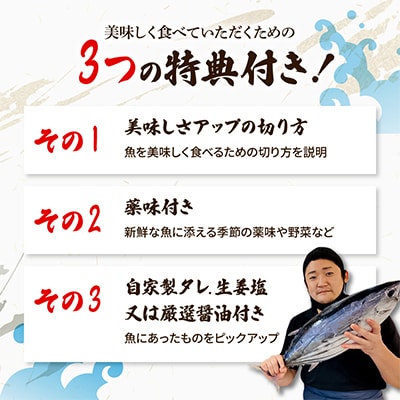 【毎月定期便】違いの分かる鮮魚店店長おすすめ　高知のお魚定期便!! 全6回