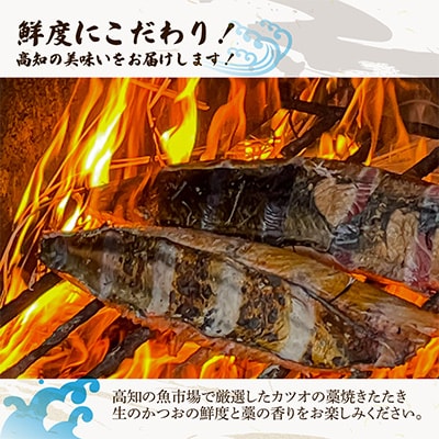 【発送月固定定期便】初鰹・戻り鰹!本場高知の生鰹藁焼きタタキ!＜3月・9月 中旬発送＞全2回