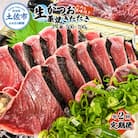 【発送月固定定期便】初鰹・戻り鰹!本場高知の生鰹藁焼きタタキ!＜3月・9月 下旬発送＞全2回