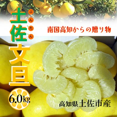 『南国高知からの贈り物』土佐文旦 6kg