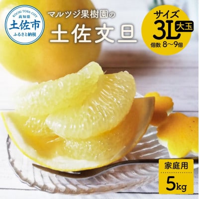 マルツジ果樹園の土佐文旦 家庭用 3L大玉(約5kg)