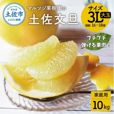 マルツジ果樹園の土佐文旦 家庭用 3L大玉(約10kg)