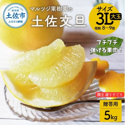 マルツジ果樹園の土佐文旦 贈答用 3L 大玉(約5kg)
