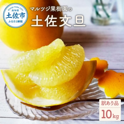 3/31最終受付】訳あり土佐文旦10kg【高知県須崎産・果樹園