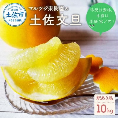 マルツジ果樹園の土佐文旦訳あり品(約10kg)