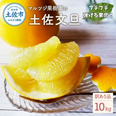 マルツジ果樹園の土佐文旦訳あり品(約10kg)