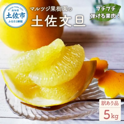 マルツジ果樹園の土佐文旦訳あり品(約5kg)