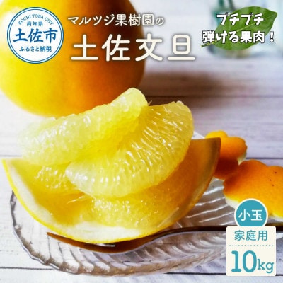 マルツジ果樹園の土佐文旦 小玉 家庭用(約10kg)