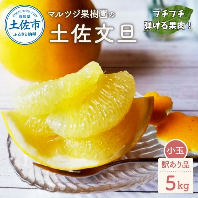 マルツジ果樹園の土佐文旦 小玉 訳あり品(約5kg)